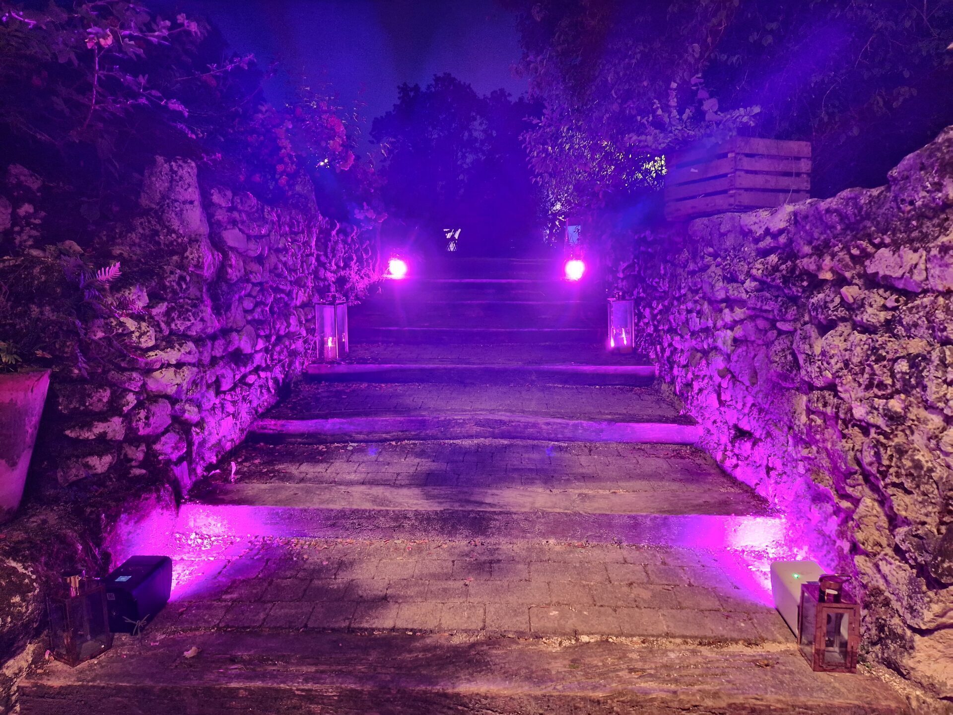 Allée illuminée entrée du domaine
